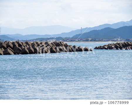 海岸の消波ブロック。福井県大飯郡高浜町の海岸(若狭湾)、9月。 106778999