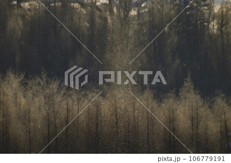 千望峠のダイヤモンドダスト 106779191