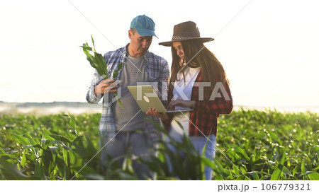 irrigation corn. two farmers work in a field with corn. agriculture irrigation concept. farmers a man and a woman work through a field with green business corn sprouts against irrigation installation irrigation corn. two farmers work in a field with corn. agriculture irrigation concept. farmers a man and a woman work through a field with green business corn sprouts against irrigation installation 106779321