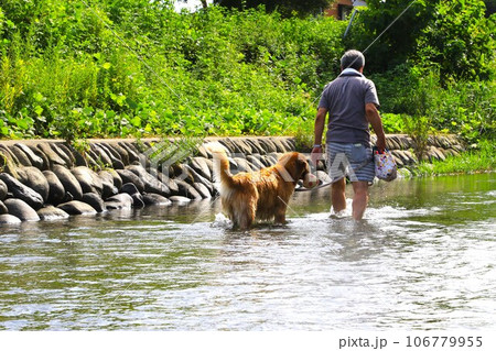 川遊びの人気スポットときがわ町の都幾川の清流を愛犬と散歩する男性の風景 106779955