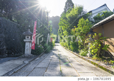 京都 哲学の道 大豊神社 参道 京都 哲学の道 大豊神社 参道 106781895