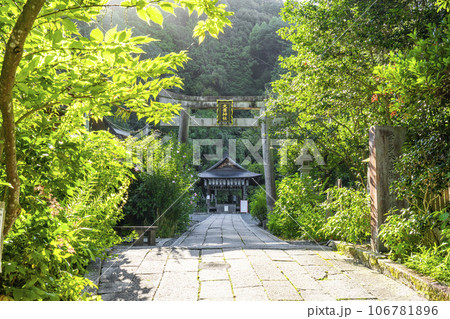 京都 哲学の道 大豊神社 参道 京都 哲学の道 大豊神社 参道 106781896
