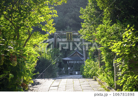 京都 哲学の道 大豊神社 参道 京都 哲学の道 大豊神社 参道 106781898