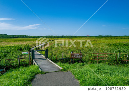 根室　北方原生花園 106781980