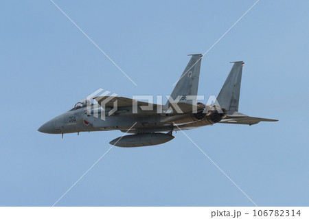 航空自衛隊第303飛行隊F-15DJイーグル 航空自衛隊第303飛行隊F-15DJイーグル 106782314