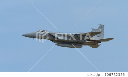 航空自衛隊第303飛行隊F-15イーグル 航空自衛隊第303飛行隊F-15イーグル 106782326