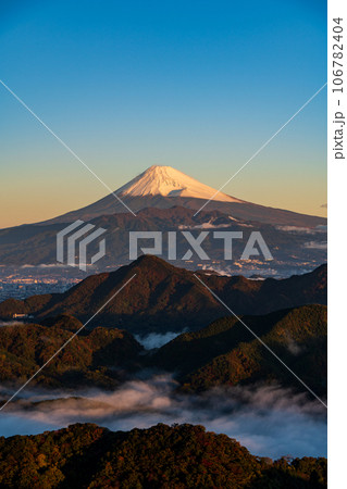 （静岡県）沼津アルプスの大雲海と雪化粧した富士山 106782404