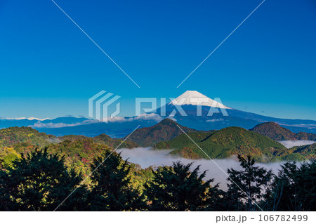 （静岡県）沼津アルプスの大雲海と雪化粧した富士山 106782499