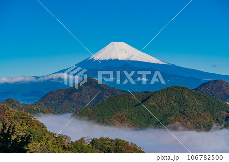 （静岡県）沼津アルプスの大雲海と雪化粧した富士山 106782500