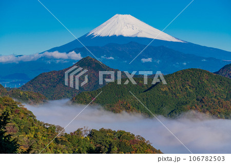 （静岡県）沼津アルプスの大雲海と雪化粧した富士山 106782503