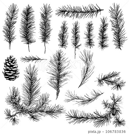 Vector line drawing. Christmas tree branches and cones drawn by a black line on a white background. Collection of Christmas decorative items. 106783836
