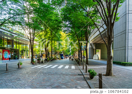 【東京都】街路樹の緑が綺麗な丸の内仲通り 106784102