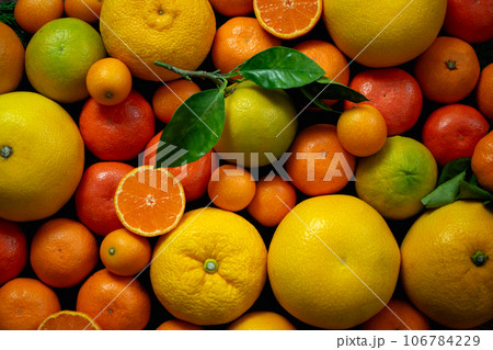 柑橘類のイメージ 柑橘類のイメージ 106784229
