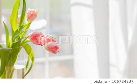 リビングに花を飾る 106784237