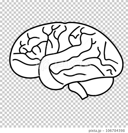 brain intelligence brain intelligence 106784398