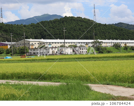 田舎の風景 202208 (9) 田舎の風景 202208 (9) 106784424