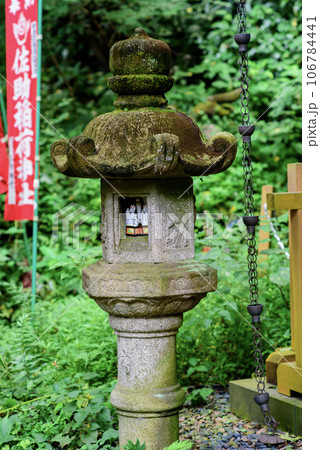 鎌倉9月 佐助稲荷神社1 鎌倉9月 佐助稲荷神社1 106784441