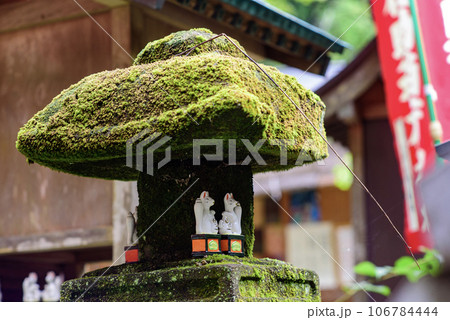 鎌倉9月 佐助稲荷神社4 鎌倉9月 佐助稲荷神社4 106784444