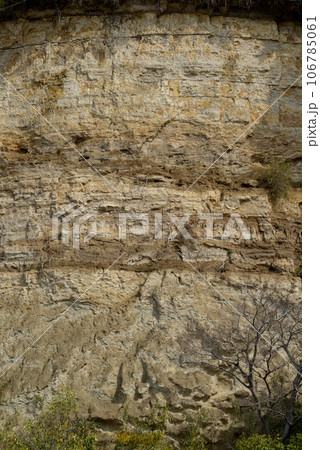 崖の地層 106785061