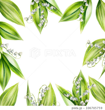 Watercolor set of bouquets of lilies of the valley flowers isolated on white background. Spring hand painted illustration. For designers, wedding, decoration, postcards, wrapping paper, scrapbooking, 106785759