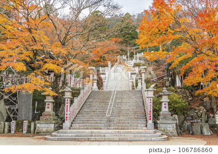 紅葉の大山(阿夫利山) 阿夫利神社下社の境内【神奈川県・伊勢原市】 紅葉の大山(阿夫利山) 阿夫利神社下社の境内【神奈川県・伊勢原市】 106786860