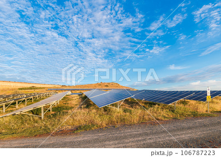 Solar panel farm at sunset in suburban Adelaide 106787223