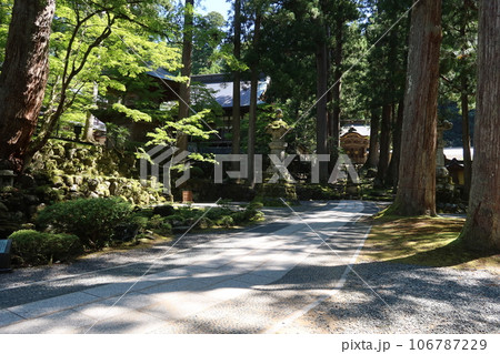 福井県吉田郡にある永平寺境内へ至る参道の風景 106787229