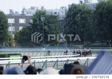 集団で走るレース中の競走馬 106788536