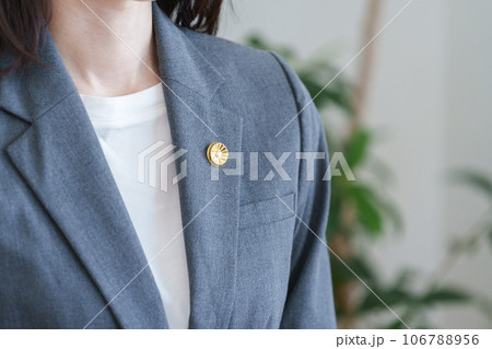 弁護士バッジをつけた女性弁護士 106788956