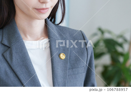弁護士バッジをつけた女性弁護士 弁護士バッジをつけた女性弁護士 106788957