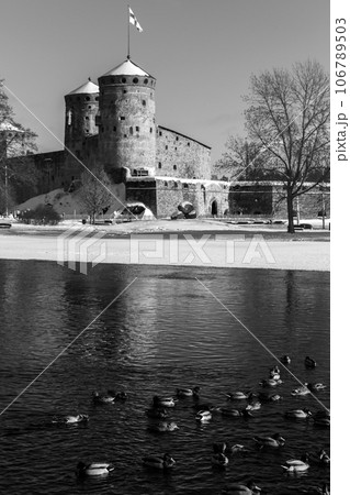 Ducks walks under a boat on frozen lake. Savonlinna Ducks walks under a boat on frozen lake. Savonlinna 106789503