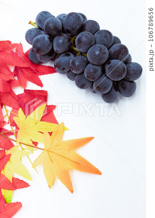 紅葉と巨峰 106789656