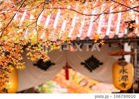 滋賀県 湖東三山の1つである永源寺の秋の紅葉を撮影 106790010