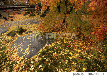 滋賀県 湖東三山の1つである永源寺の秋の紅葉を撮影 滋賀県 湖東三山の1つである永源寺の秋の紅葉を撮影 106790054