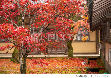 滋賀県 湖東三山の1つである永源寺の秋の紅葉を撮影 滋賀県 湖東三山の1つである永源寺の秋の紅葉を撮影 106790065