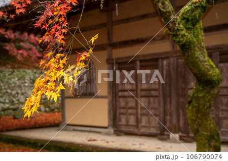 滋賀県 湖東三山の1つである永源寺の秋の紅葉を撮影 滋賀県 湖東三山の1つである永源寺の秋の紅葉を撮影 106790074