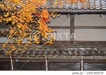 滋賀県 湖東三山の1つである永源寺の秋の紅葉を撮影 106790079