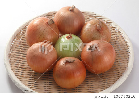玉ねぎ 玉ねぎ 106790216