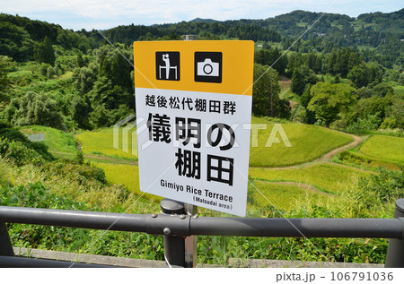新潟県越後松代棚田郡　儀明の棚田 106791036