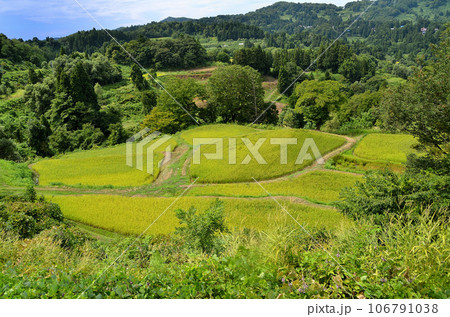 新潟県越後松代棚田郡 儀明の棚田 新潟県越後松代棚田郡 儀明の棚田 106791038