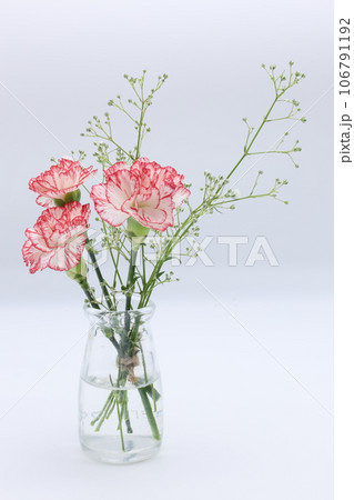 小さな瓶に入った赤いカーネーションとカスミソウの花 106791192
