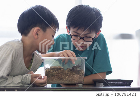 カブトムシの観察をする兄弟 106791421