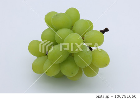 白背景に緑色のマスカット 白背景に緑色のマスカット 106791660