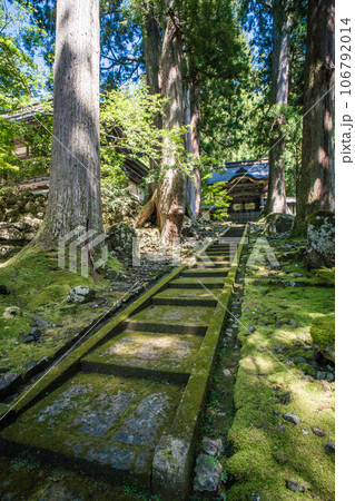 福井 夏の木漏れ日と緑の苔に彩られた永平寺の唐門 106792014