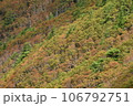 仲秋の日光の山 106792751