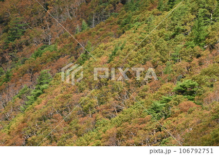 仲秋の日光の山 106792751