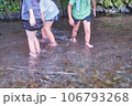 源兵衛川で水遊び 106793268