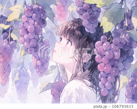 ぶどうを見上げる女の子のイラスト素材 [106793615] - PIXTA
