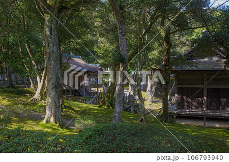 能登 妙成寺 森の中の三十番神堂 106793940
