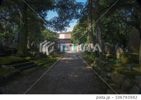 能登 妙成寺 丈六堂と参道の風景 106793982